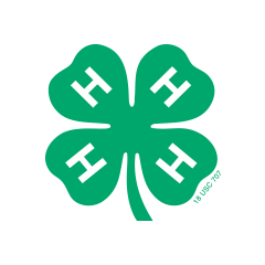 Four-leaf clover with Hs